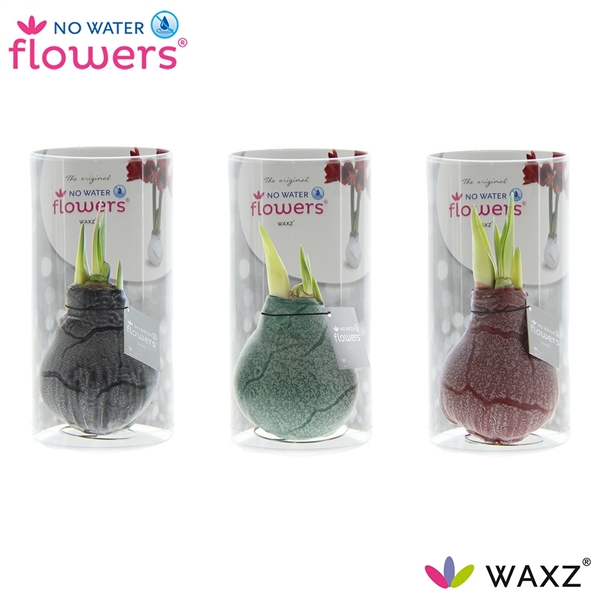 No Water Flowers Waxz Marble In Koker N132800 FloraXchange