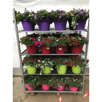 sierpot pot 8 planten per pot
