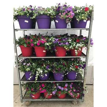 decopot