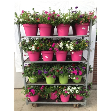 deco pot