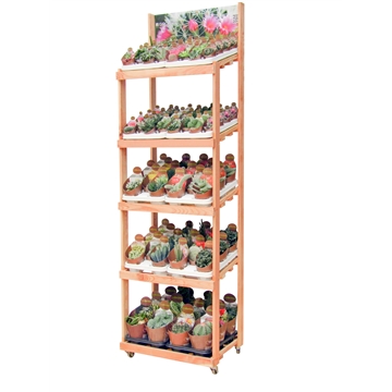 WOODEN EXHIBITOR WITH WHEELS - MIX COLLECTION (2 shelves pot 6,5 - 2 shelves pot 10,5 - 1 shelves pot 14)