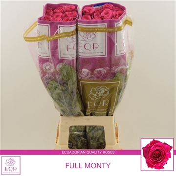 Rosa gr Full Monty!