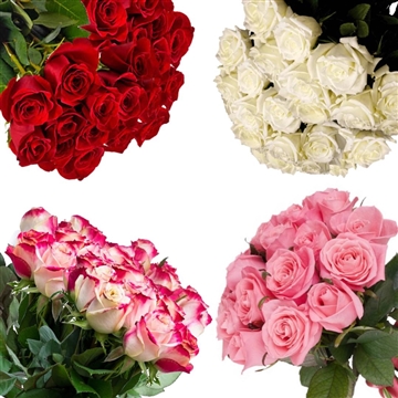 MOTHERS DAY PACK