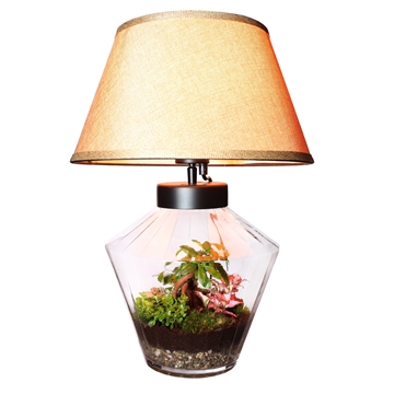 Wardians Terrarium - Victoria + LED bulp (wired 220V)