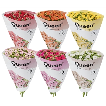 Kalanchoe Gemengd 5x4 stelen