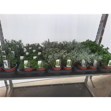 Kruidenmix wisselend assortiment