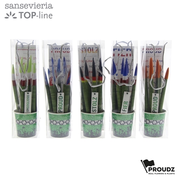 Sansevieria Topline Proudz&#174; mix Rotterdam Keramiek met tasje