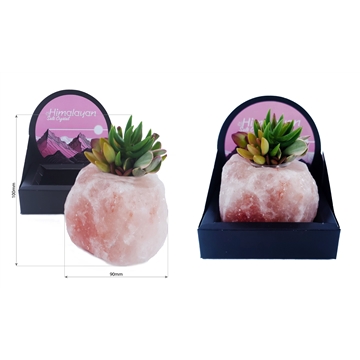 Salt Crystal