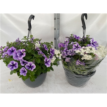 hangpot 4kl