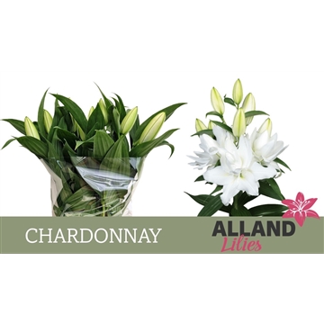 LI OR CHARDONNAY