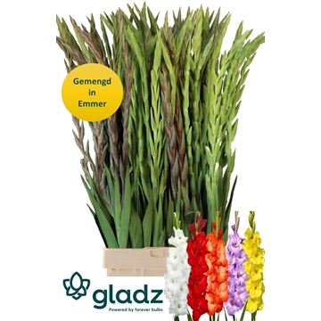 Gemengd in fust Gladz