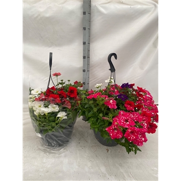 hangpot 5kl