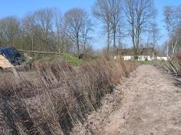 HAAGPLANTSOEN