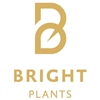 Bright-Plants