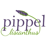 Pippel-Lisianthus