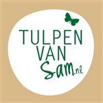 Tulpen-van-Sam