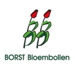 Borst-Bloembollen