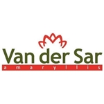 Van-der-Sar-Amaryllis