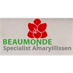 Beaumonde-BV