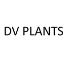 DV-Plants