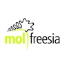 Mol-Freesia