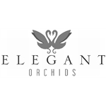 Klinge-Elegant-Orchids