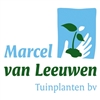 M-v-Leeuwen-Tuinplanten-bv