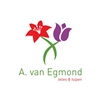 A-van-Egmond-VOF
