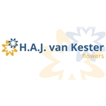 HAJ-van-Kester