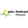 Gebr-Nederpel