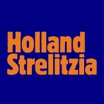 Holland-Strelitzia