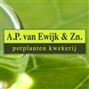 AP-van-Ewijk