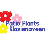 Patio-Plants