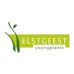 Elstgeest-Youngplants
