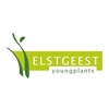 Elstgeest-Youngplants