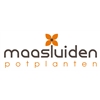 Maasluiden-Potplanten