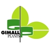 Gimall-Plants-NL-BV