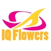 IQ-Flowers