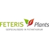 Feteris-Plants