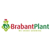 Brabant-Plant