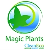 Magic-Plants