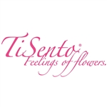 Tisento-Flowers-en-Plants-BV