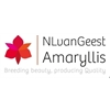 NL-van-Geest-Amaryllis