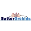 Satter-Orchids