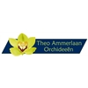 Theo-Ammerlaan-Orchideeën