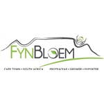 Fynbloem