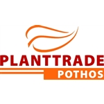 Plant-Trade-International-Bv