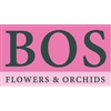 Bos-Flowers-en-Orchids-–-Cymbidium