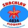 Shachlav-Flowers