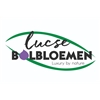 Lucse-Bolbloemen